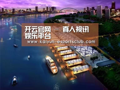 案例展示八