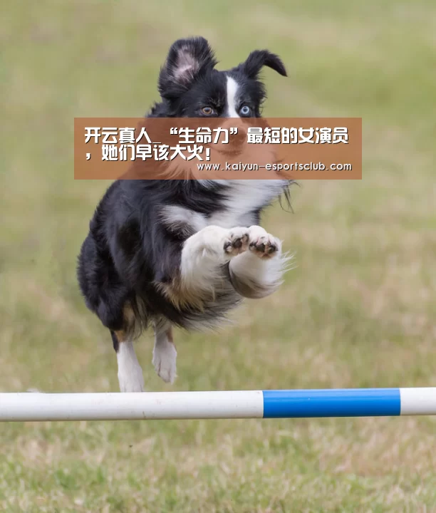 开云真人_“生命力”最短的女演员,她们早该大火!(图4) 开云真人